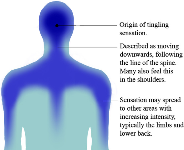 Autonomous sensory meridian response ASMR