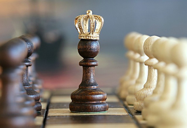 chess king winning