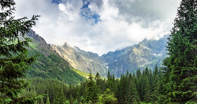 Ukrainian Carpathians
